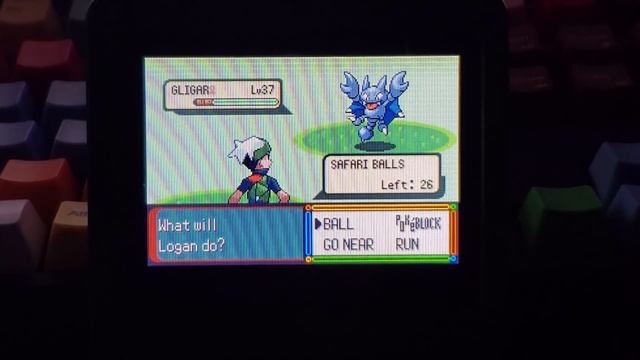 [Safari Week 2019 #1] LIVE!!! Shiny Gligar after just 174 REs!!!! Win or Fail??? (Emerald) смотреть онлайн