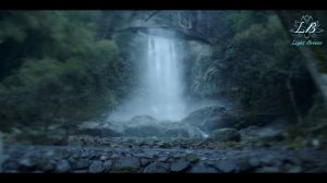 Союз благородных 1 сезон 24 серия