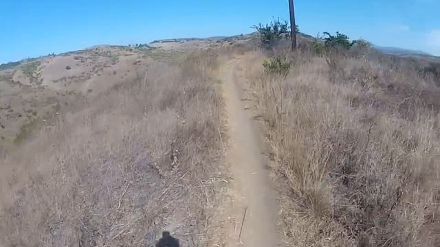 San Clemente single tracks safari 2 смотреть онлайн