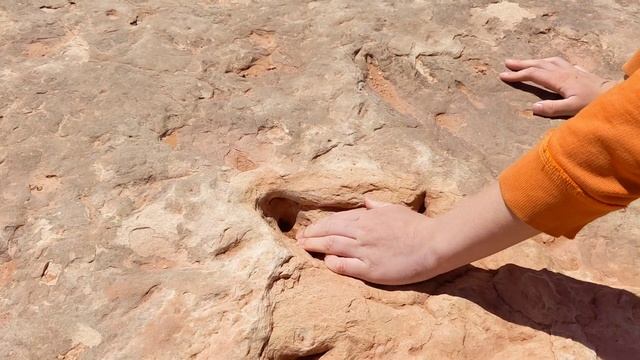 Snake Safari Bonus Dinosaur Tracks смотреть онлайн
