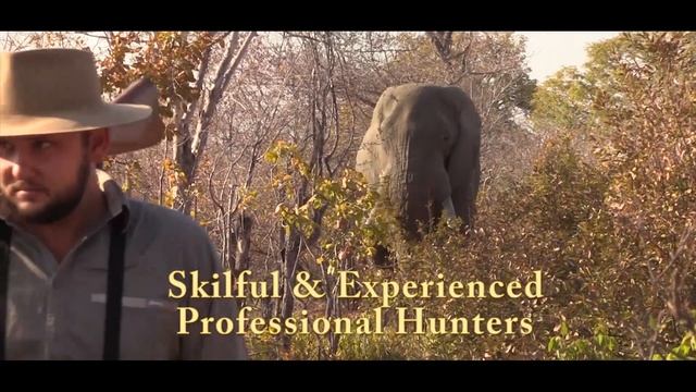 Kowas Adventure Safaris Why a SAFARI with US смотреть онлайн