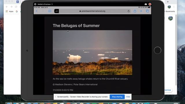 *Reader View and Text to Speech on an iPad смотреть онлайн