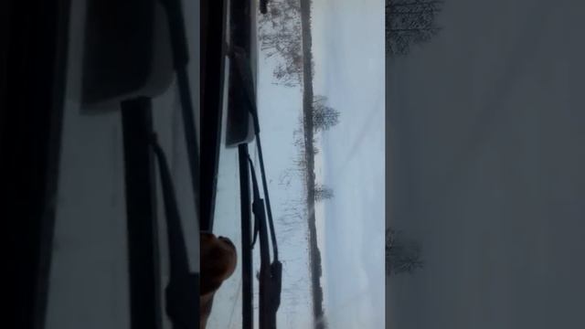 На ниве зимой смотреть онлайн