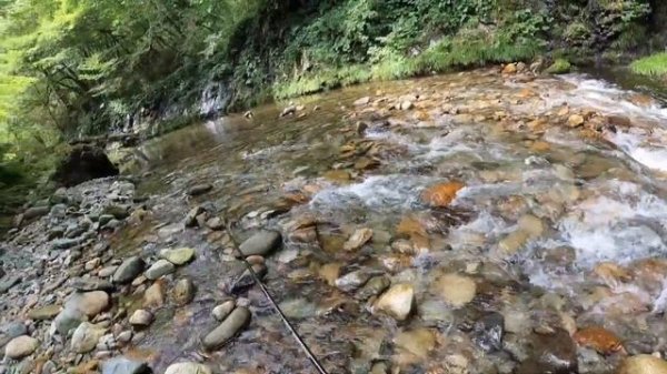 エキスパートカスタムとカーディナルで楽しむ宮城の渓2021　part16