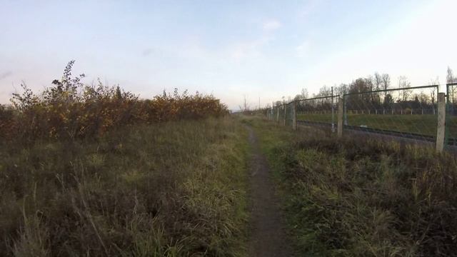 Летят "Сапсаны" а мы - ползем