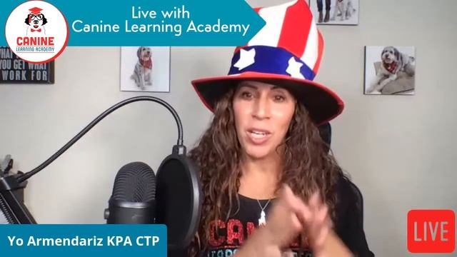 Canine Learning Academy 5 Day Challenge Day 1- Fireworks and Dogs смотреть онлайн