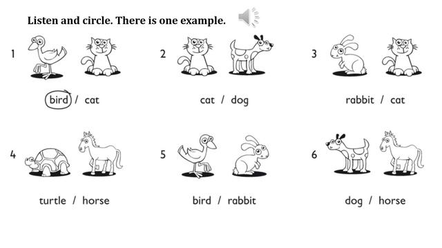 practice test 3 2 listen and circle смотреть онлайн