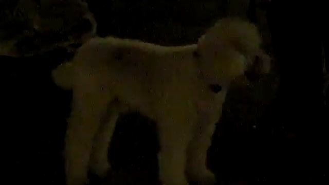 One Minute of Opera in NYC смотреть онлайн