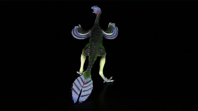 Safari Ltd. ® Caudipteryx - 360° смотреть онлайн
