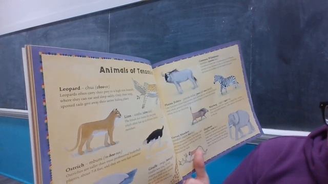 "We All Went On Safari" смотреть онлайн