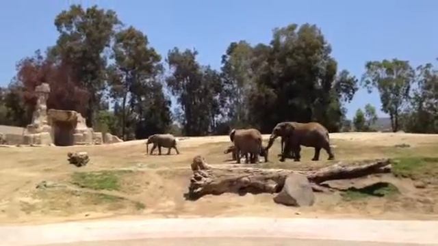 Safari park 2 смотреть онлайн