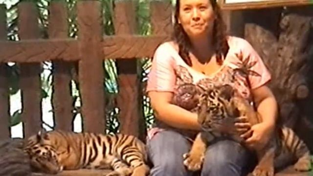 op safari 2007.mp4 смотреть онлайн