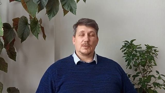 МПК СП ДОМ город мастеров смотреть онлайн