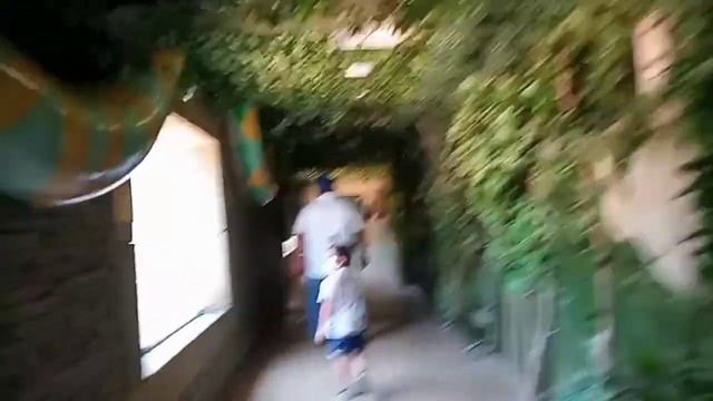 Emirates Zoo Park @ Abu Dhabi City смотреть онлайн