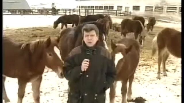 Лошади пробуют на вкус журналиста смотреть онлайн
