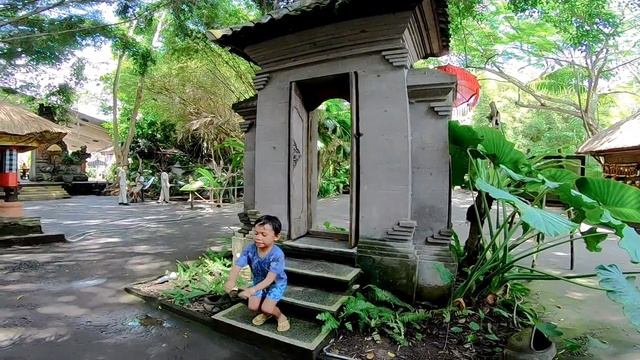 Bali Safari Marine Park смотреть онлайн