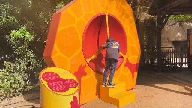 Safari Park Dubai Wild Life adventure/ let’s get wild смотреть онлайн