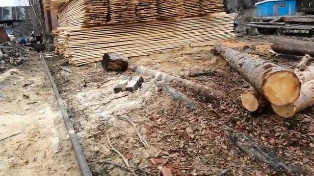Пилорамма в Калужской области Сосна, ель 19.500руб за куб смотреть онлайн