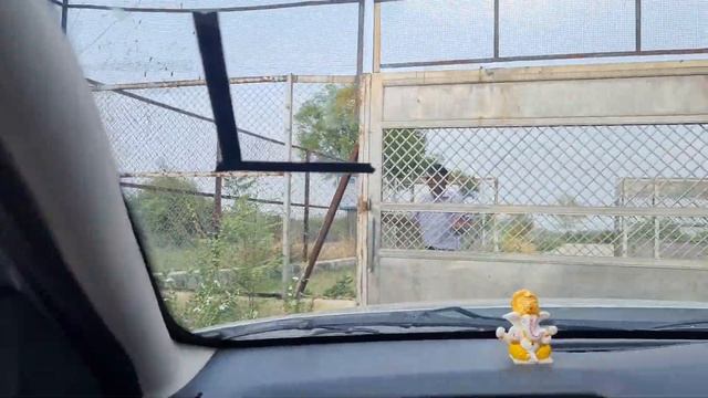 Asia's Biggest Lion Safari | Etawah Safari Park | Dangerous😱 with more Adventurous👍✌️ |watch it guy смотреть онлайн