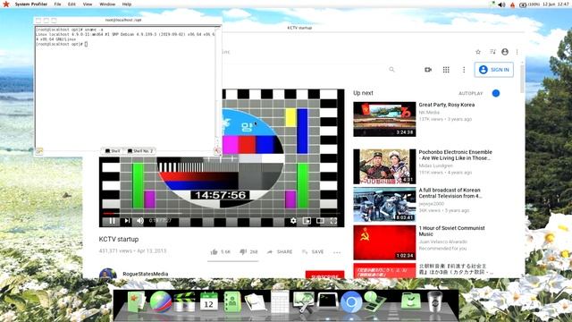 Running RedStar OS 3.0 in 2020 with Linux 4.9 x86_64 kernel смотреть онлайн