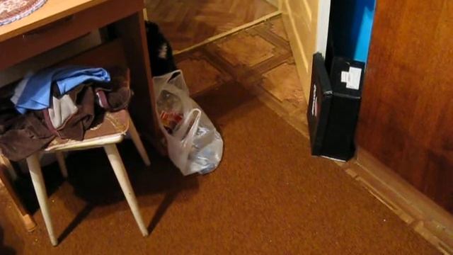 Пушок покоряет дверь.Вторая попытка смотреть онлайн