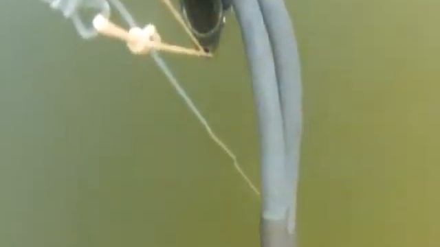 Подводная рыбалка на судака смотреть онлайн