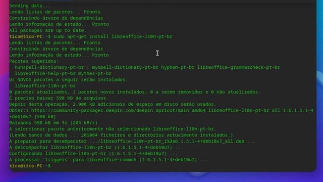 Deepin Linux. Veja Como adicionar o Idioma pt-br no LibreOffice e no Firefox смотреть онлайн