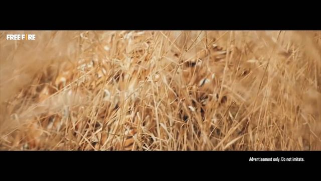 SAFARI RIOT - PAPER CUT | LIVE ACTION | TIGER PAPER CUT BUNDLE 🔥 смотреть онлайн
