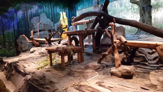 Chimelong Safari Park смотреть онлайн