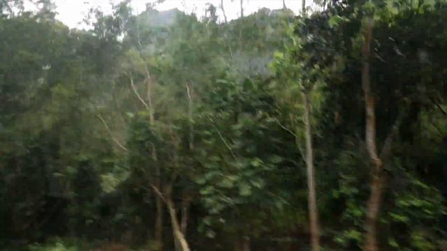 Jungle Safari смотреть онлайн