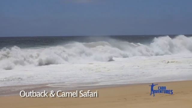Camel Safari Excursion | Los Cabos, Mexico | Sunwing смотреть онлайн