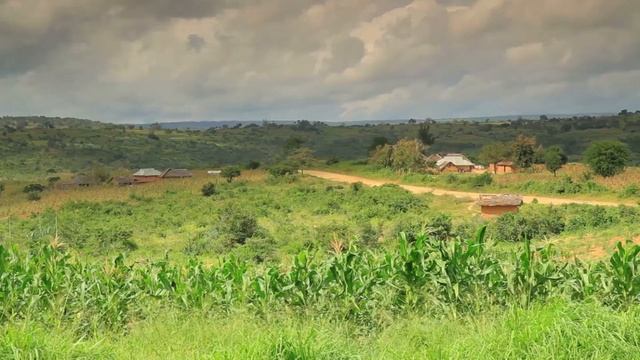 BFS 40 - Urban Safari смотреть онлайн