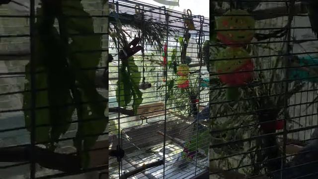 Солнечные ванны смотреть онлайн