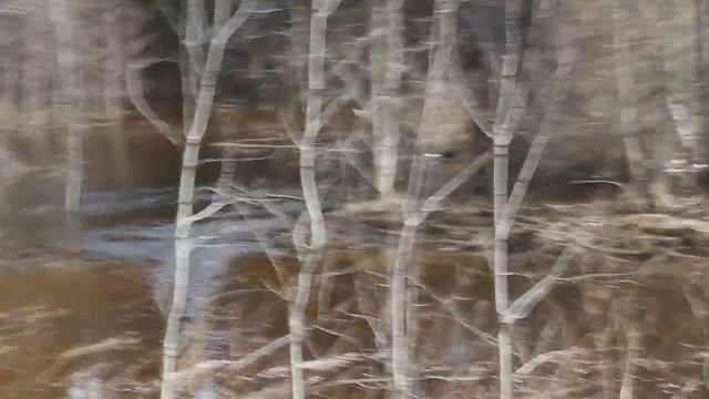 Есть только два способа прожить жизнь.1-будто чудес не существует. 2-будто кругом одни чудеса смотреть онлайн