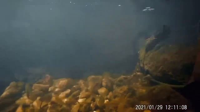 AKASO Brave 4 Footage of a Creek смотреть онлайн