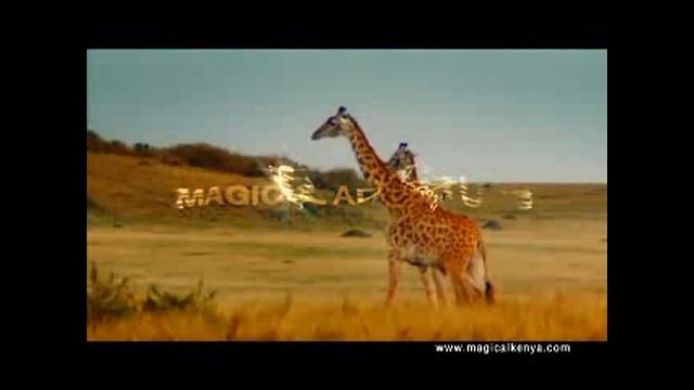 Abra Africa Safaris -Kenyan Best safari company (Opening Africa to the rest of the world).mpg смотреть онлайн