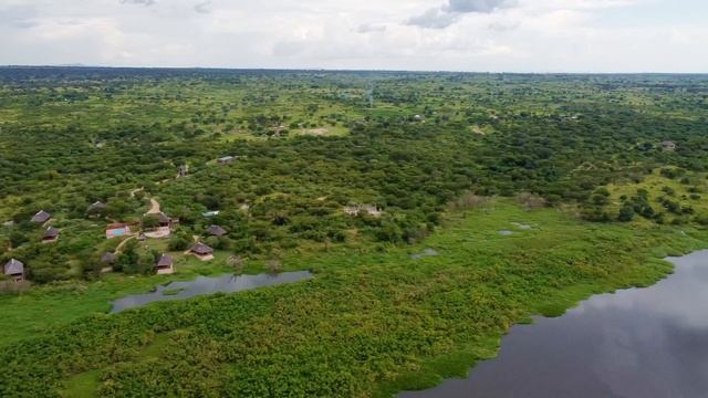 Twiga Safari Lodge смотреть онлайн