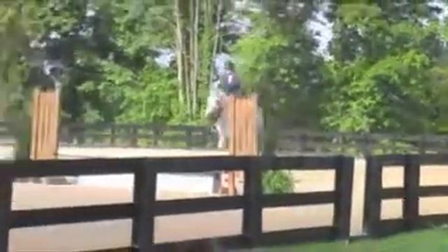 Brave Horse I Finn Friday II смотреть онлайн