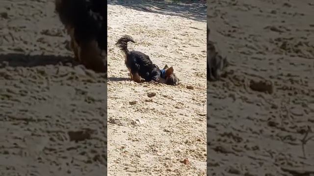 Есть что-то хорошее в каждом дне...💞 моя Моника