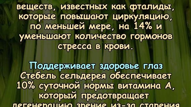 ПОЧЕМУ СЕЛЬДЕРЕЙ НУЖНО ЕСТЬ КАЖДЫЙ ДЕНЬ смотреть онлайн