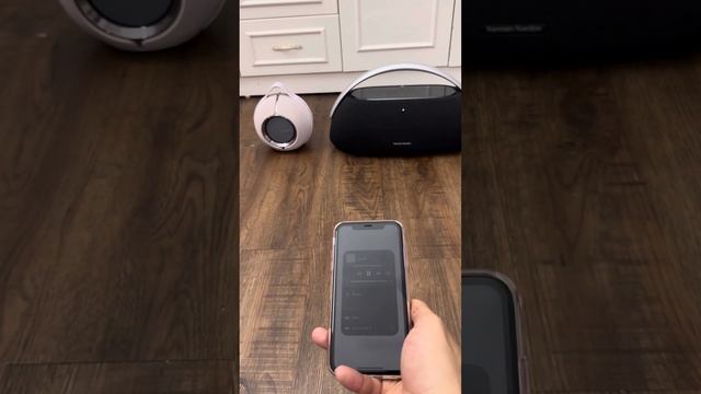 Devialet Mania VS Harman Go Play 3