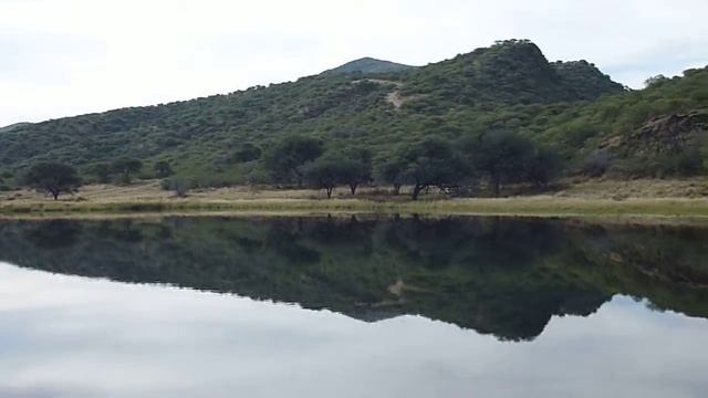 Okapuka Ranch game drive - clip 05 - crocodile pond смотреть онлайн