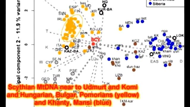 The origin of Finno-Ugrians смотреть онлайн