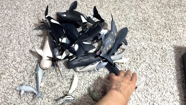 Sea Animals Collection - Whales, Dolphins, Orca, Beluga, Vaquita, White Whale, Pilot Whale, Narwhal