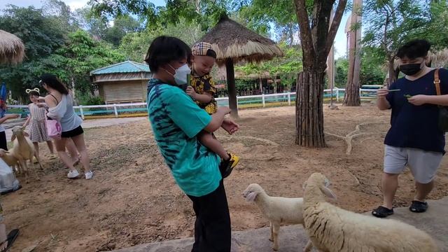 PHU QUOC VIETNAM | VINPEARL | SAFARI | FILIPINO VIETNAMESE FAM смотреть онлайн
