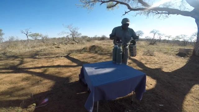 On Safari Wildlife Compilation - Greater Kruger Park смотреть онлайн