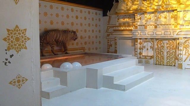 White Tigers at FantaSea in Phuket, Thailand смотреть онлайн