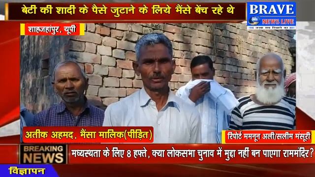 BRAVE NEWS LIVE TV : भैंसे बेंचने गये व्यक्ति के बदमाश भैंसे लेकर हुए फरार смотреть онлайн