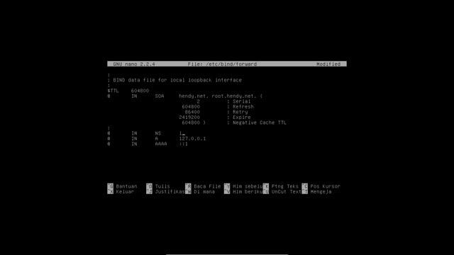 2.Hasil Konfigurasi DNS DEBIAN CLI смотреть онлайн