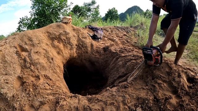 3 brave hunters confront ferocious monsters and pythons смотреть онлайн
